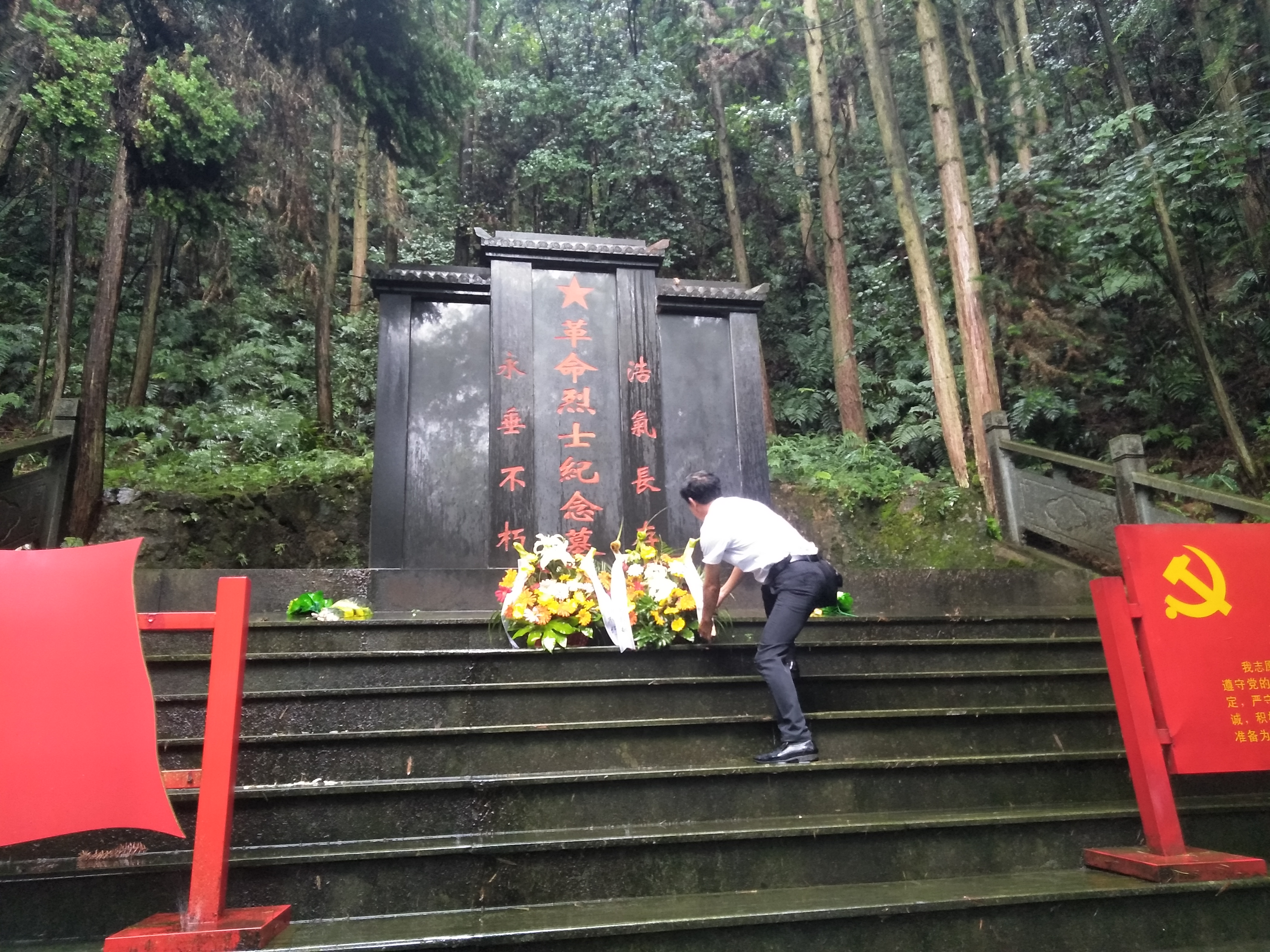 彩神(Vll)股份有限公司 - 追求健康一起成长