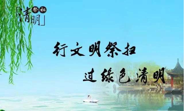 彩神(Vll)股份有限公司 - 追求健康一起成长