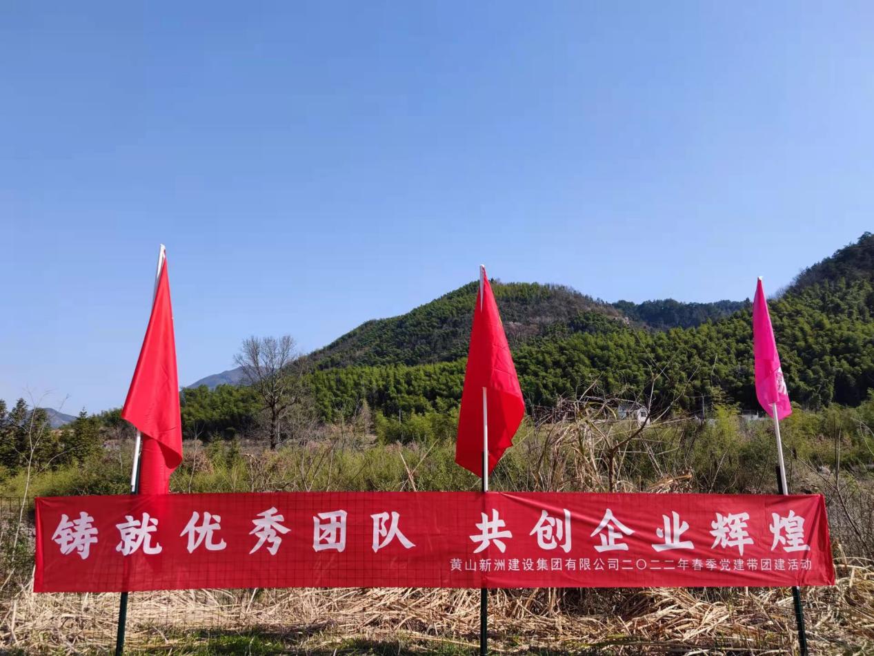 彩神(Vll)股份有限公司 - 追求健康一起成长